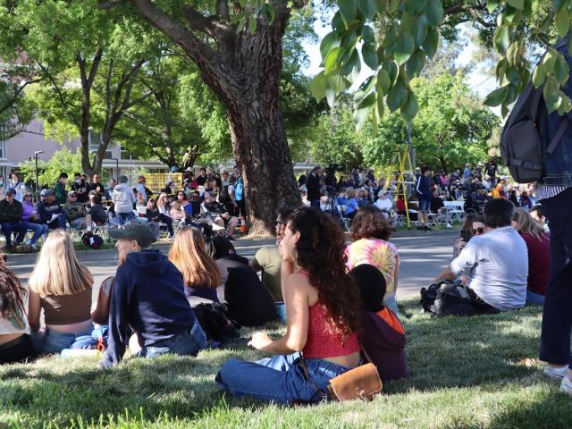 Picnic Day
